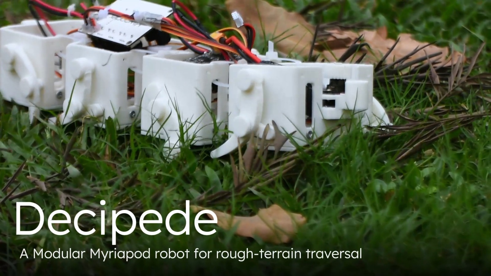 Decipede — Bio-Inspired Modular Myriapod Robot