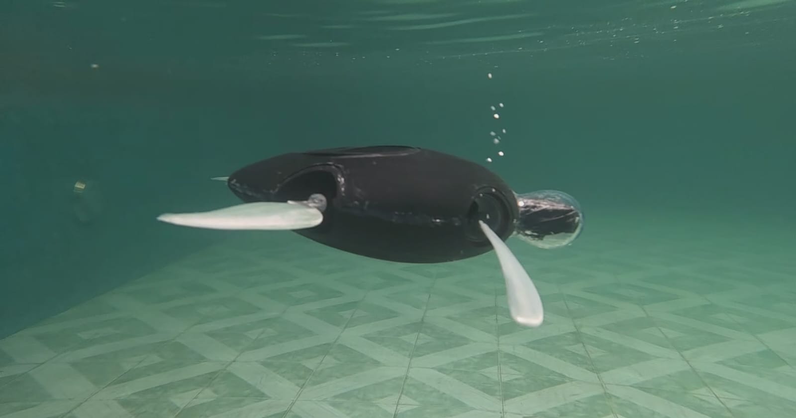TurtleBot — Sea Turtle-Inspired Underwater Robot